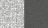 Color Swatches