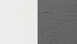 Color Swatches