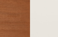 Color Swatches