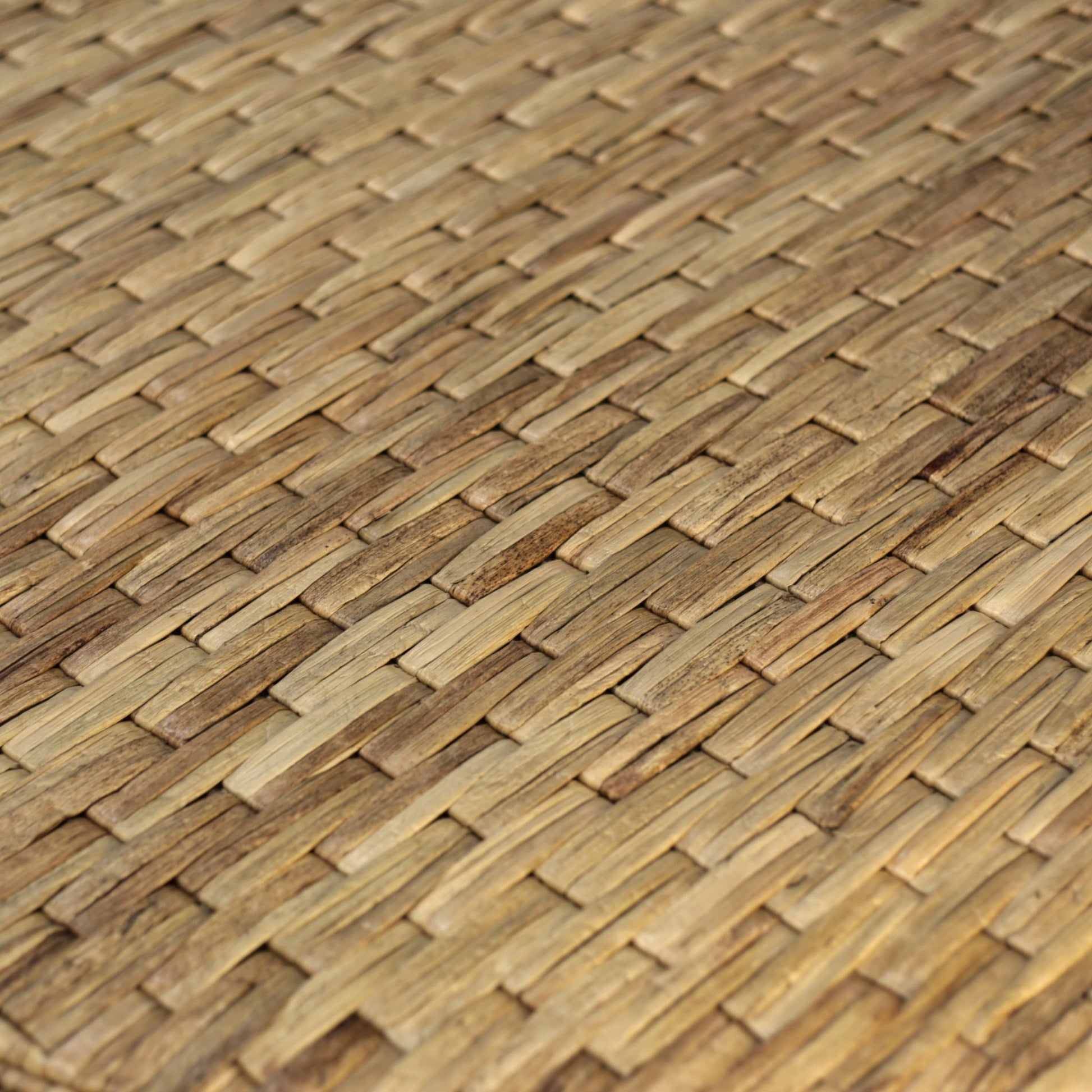 Palmera Drum Coffee Table - Alpine Furniture